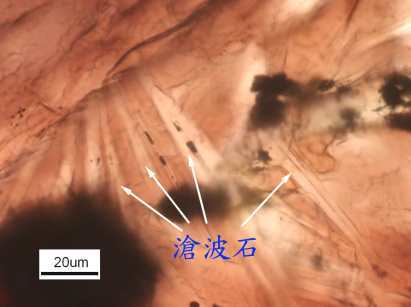 滄波石偏光顯微鏡照片
